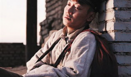 辛柏青主演的电视剧,情感纠葛与命运抉择