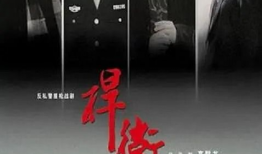 电视剧捍卫在线观看,揭秘网络世界的正义之战